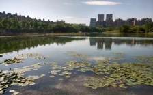  合肥市大蜀山森林公園南湖：綜合治理，再現美麗湖景