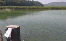  水產養殖水質檢測標準，這五個方面讓水質恢復清新