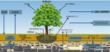  什么叫總有機碳TOC?
