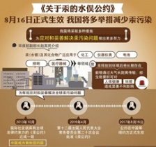  關于汞的水俁公約