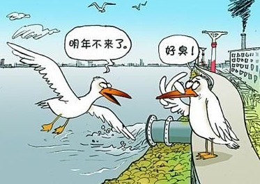  國家飲用水標準及水質合格率是多少？