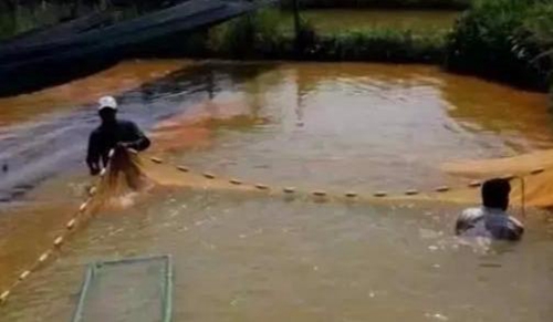 水渾了？不用怕，這五個方面讓水質恢復清新