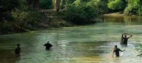 水渾了？不用怕，這五個方面讓水質恢復清新